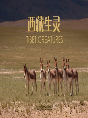 cover image of 西藏生灵